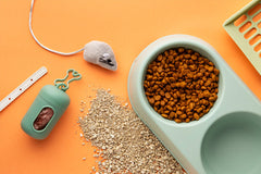 Cat toys