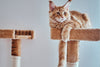 Cat tree