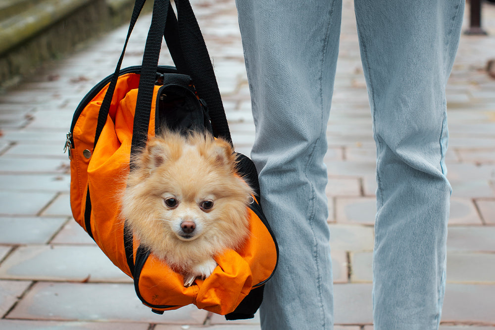 Dog carrier