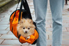 Dog carrier