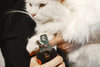 Cat accessories