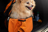 Dog car seats