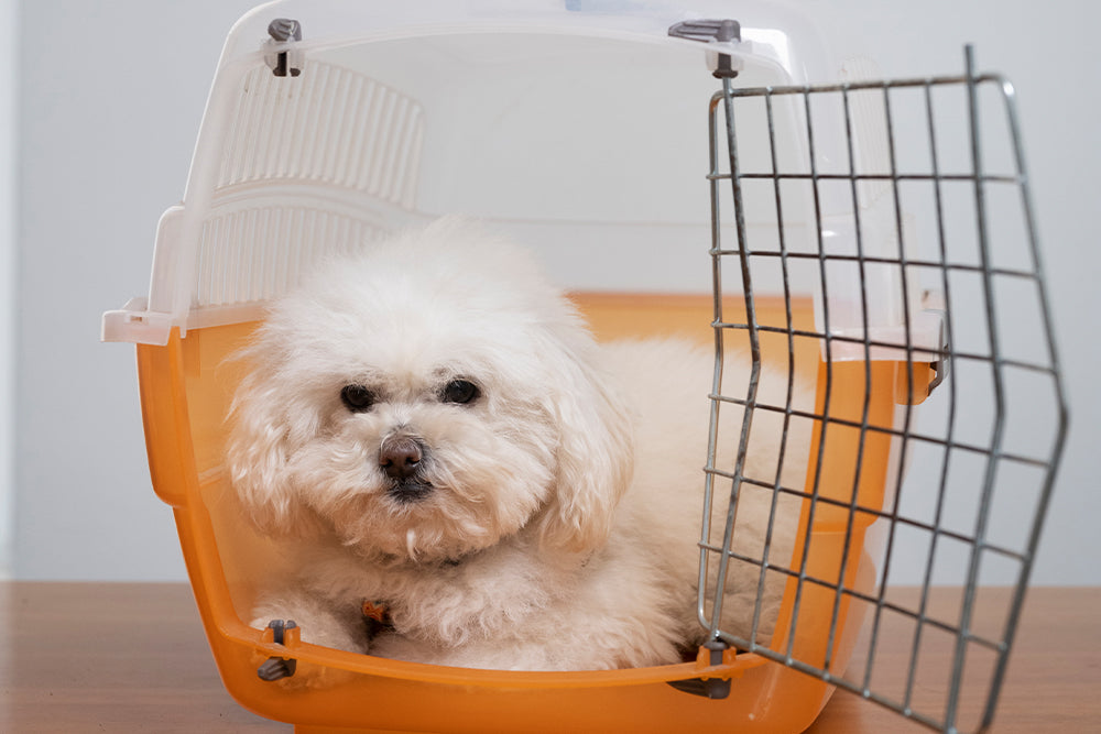 Dog crate