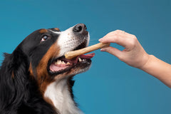 Dog treats