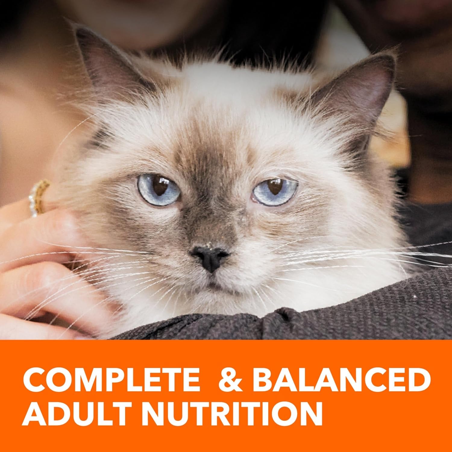 Proactive Health Dry Cat Food Hairball Care, Adult Cat Food, with Real Chicken and Salmon, 7 Lb. Bag