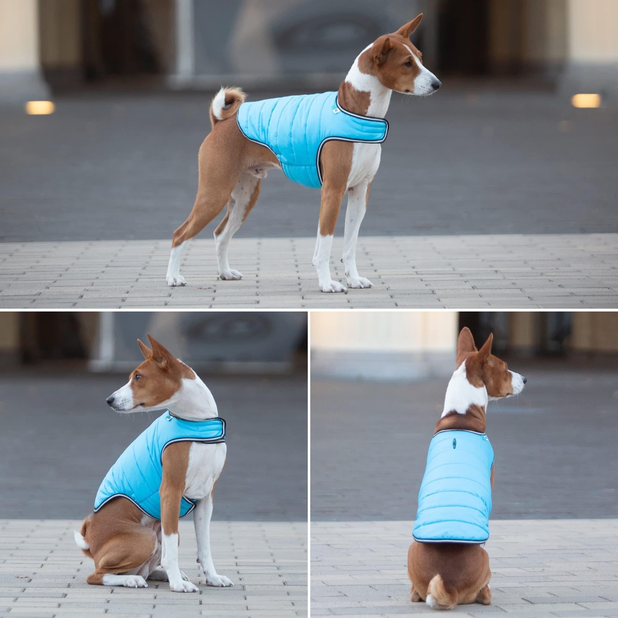Dog Winter Coat for Xsmall Dogs Blue Waterproof Dog Warm Jacket XS Size