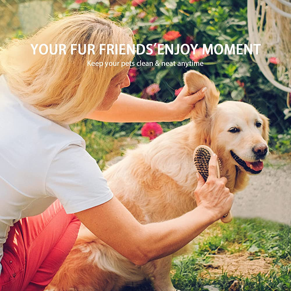 Double Sided Dog and Cat Brush - Bristle and Pin for Grooming, Real Boar Bristle with Bamboo Handle for Long Short Hair, 4 Pack Comb, Black+Yellow