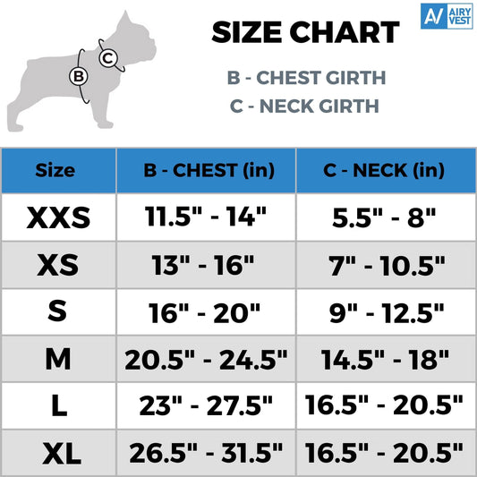 Dog Winter Coat for Xsmall Dogs Blue Waterproof Dog Warm Jacket XS Size