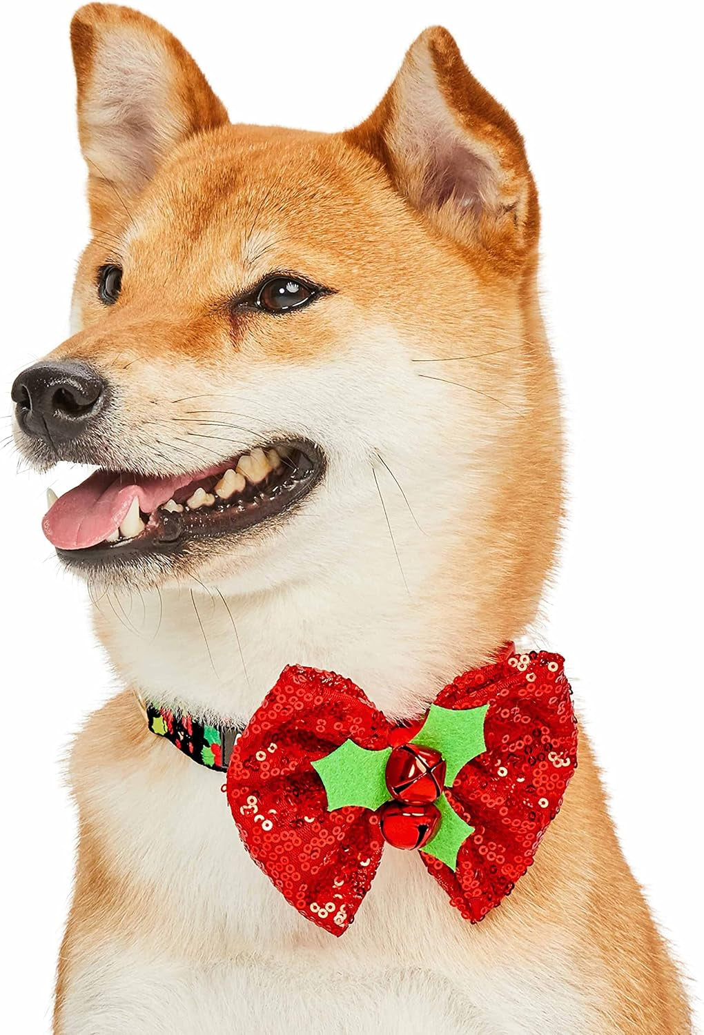 Christmas Holly Adjustable Dog Collar with Bowtie - Dog Collars for Small Dogs, Holiday Dog Collars, Christmas Collar for Dogs - Small Dog Collars for Female Dogs, 12-16