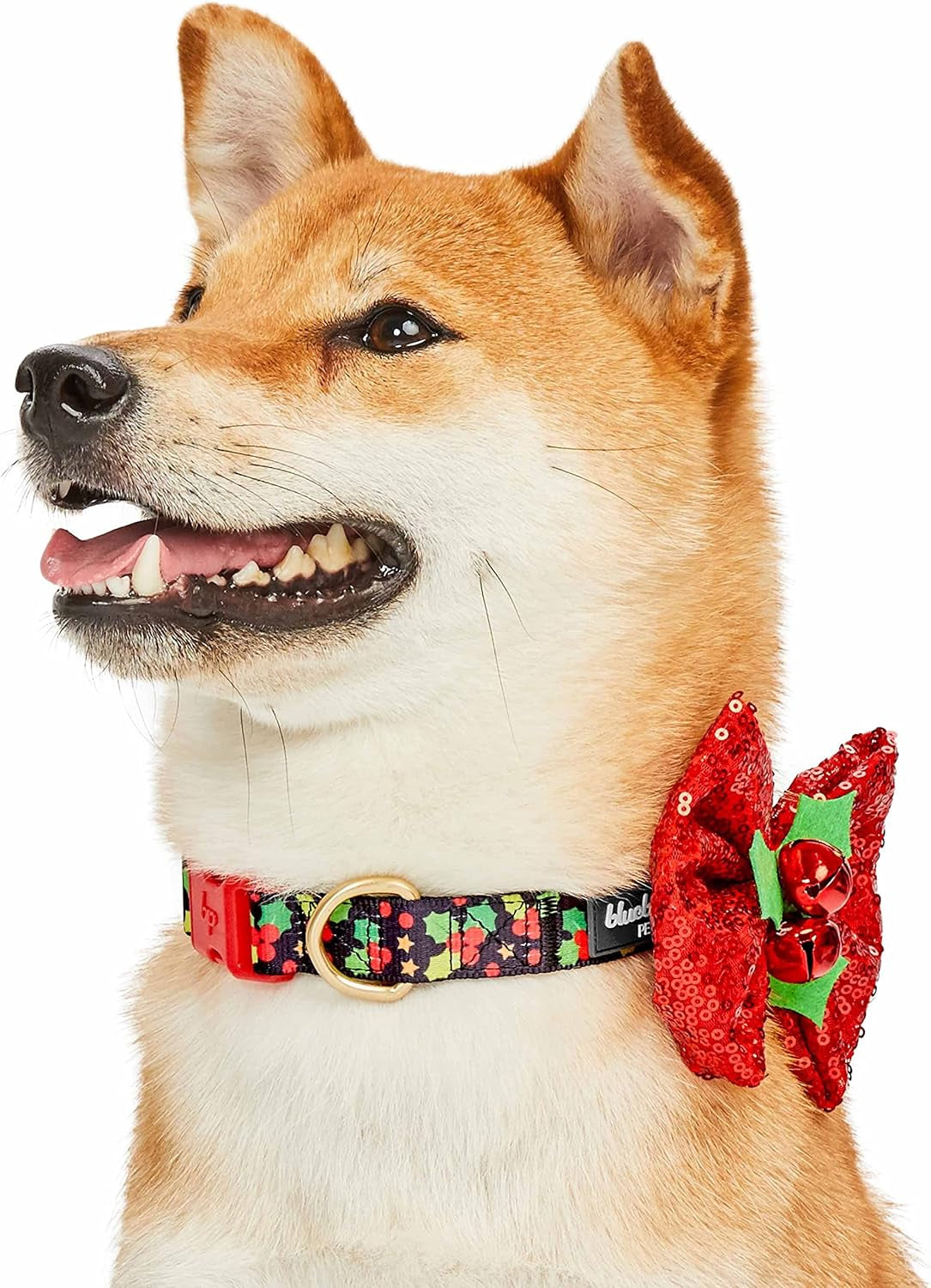 Christmas Holly Adjustable Dog Collar with Bowtie - Dog Collars for Small Dogs, Holiday Dog Collars, Christmas Collar for Dogs - Small Dog Collars for Female Dogs, 12-16