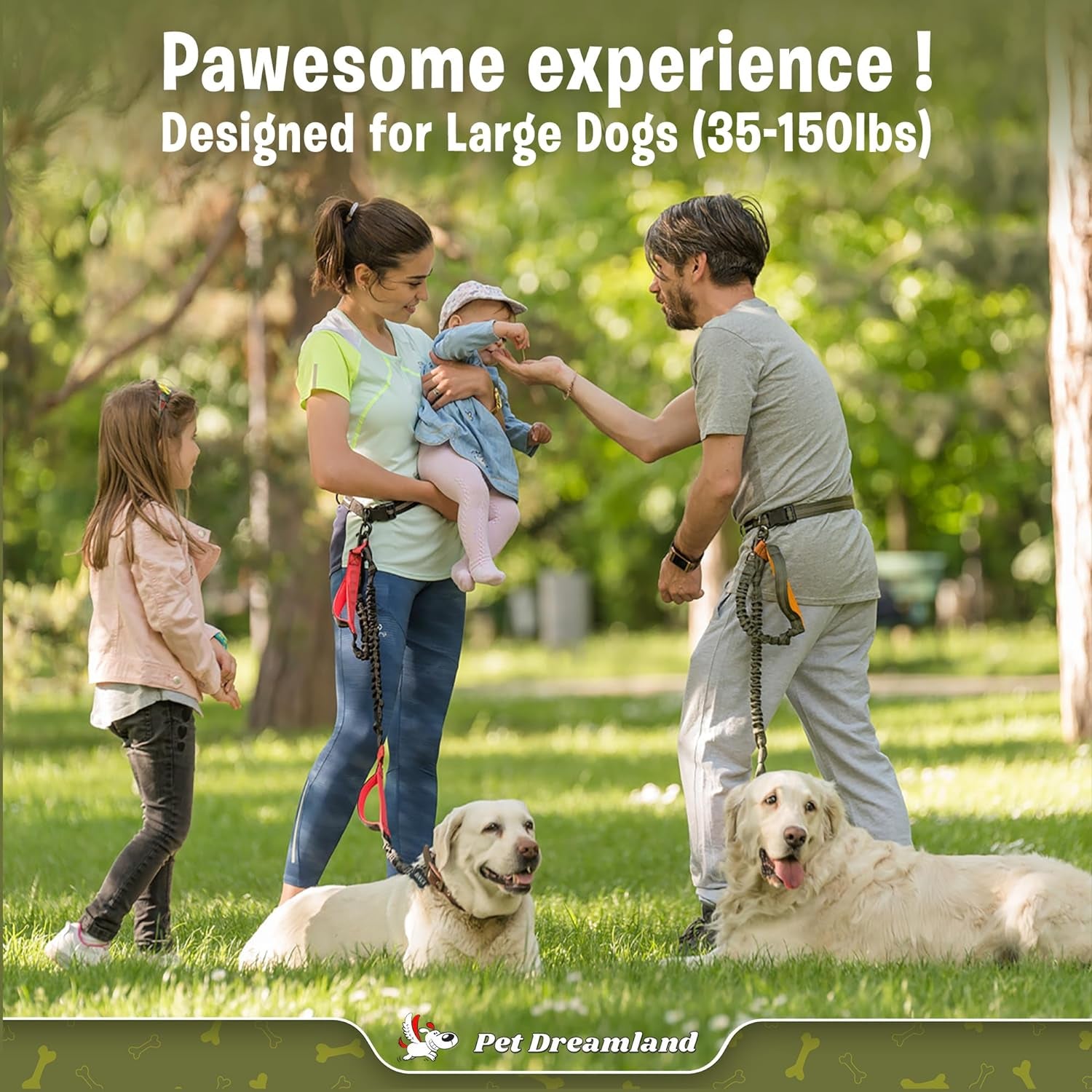 Exquisite Hands-Free Leash for Large Dogs: Ultimate Comfort & Freedom for Running, Walking, Hiking. Premium Quality, Durable & Versatile Waist Belt Leash. Your Dog Will Love It.