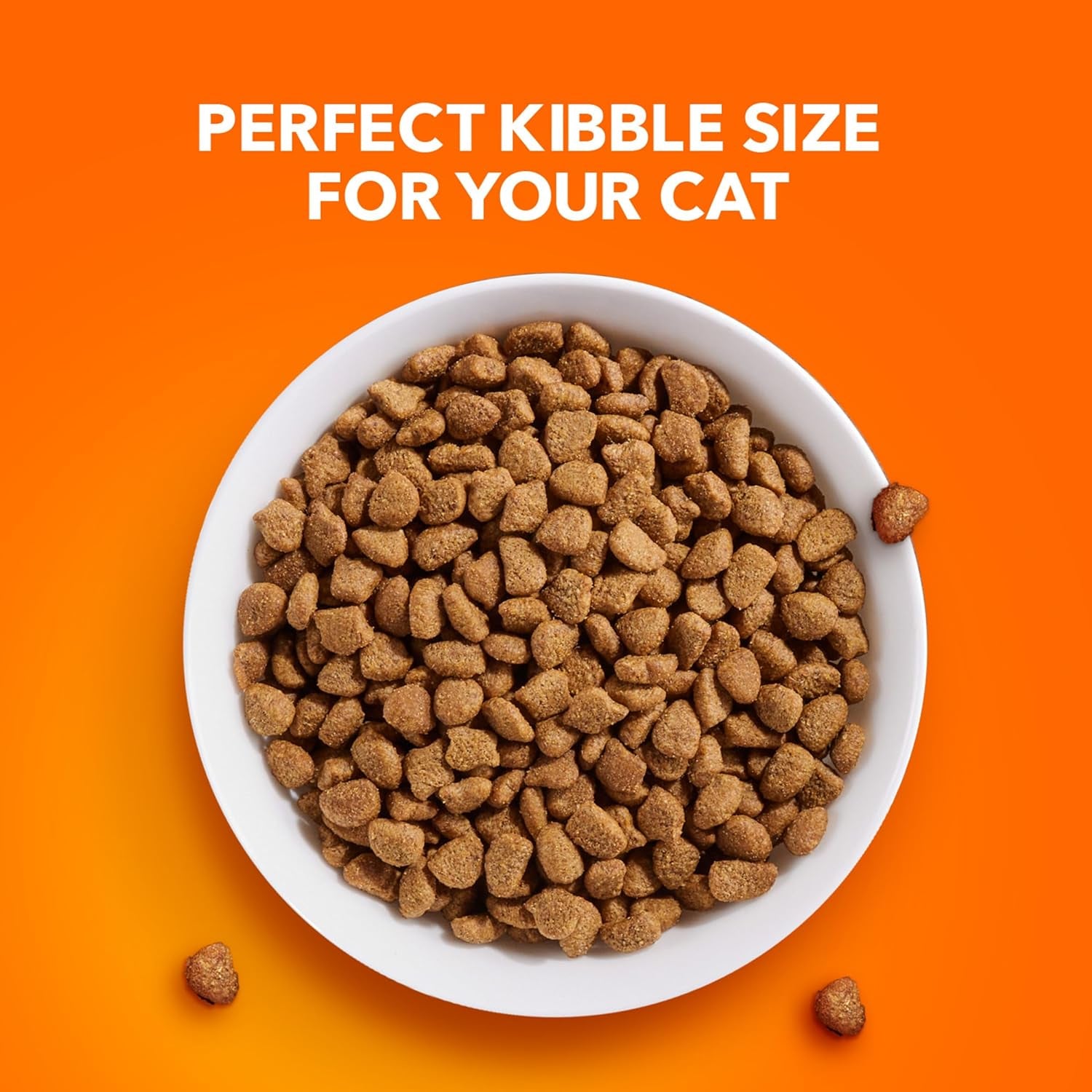 Proactive Health Dry Cat Food Hairball Care, Adult Cat Food, with Real Chicken and Salmon, 7 Lb. Bag